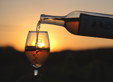 Copa de vino en viñedo