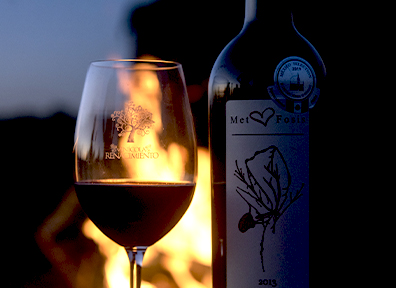 Copa de vino tinto y botella
