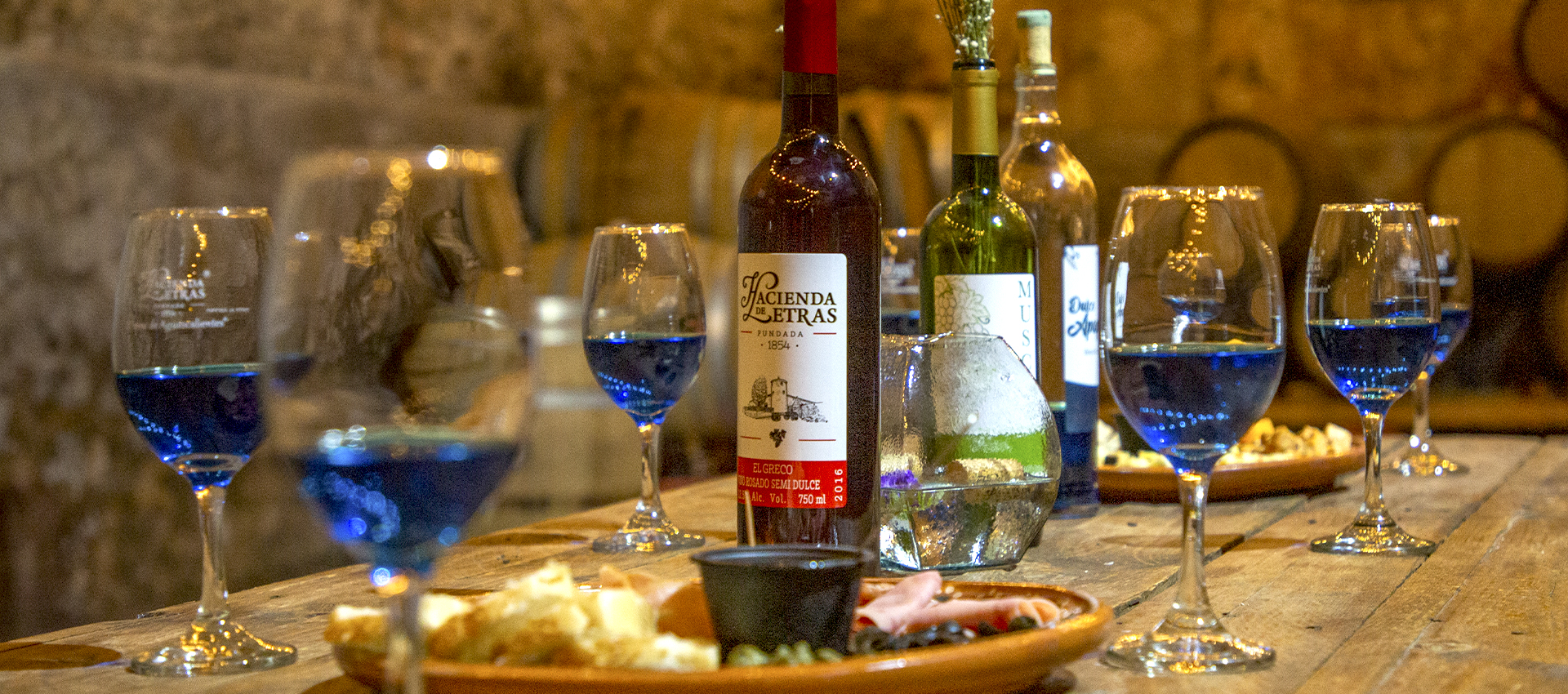 Viñedos y Vinícola