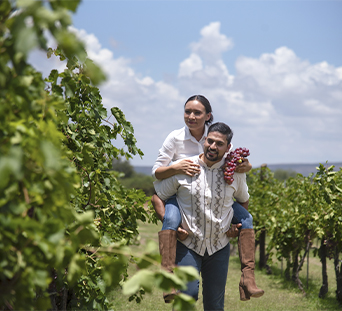 Vinícola